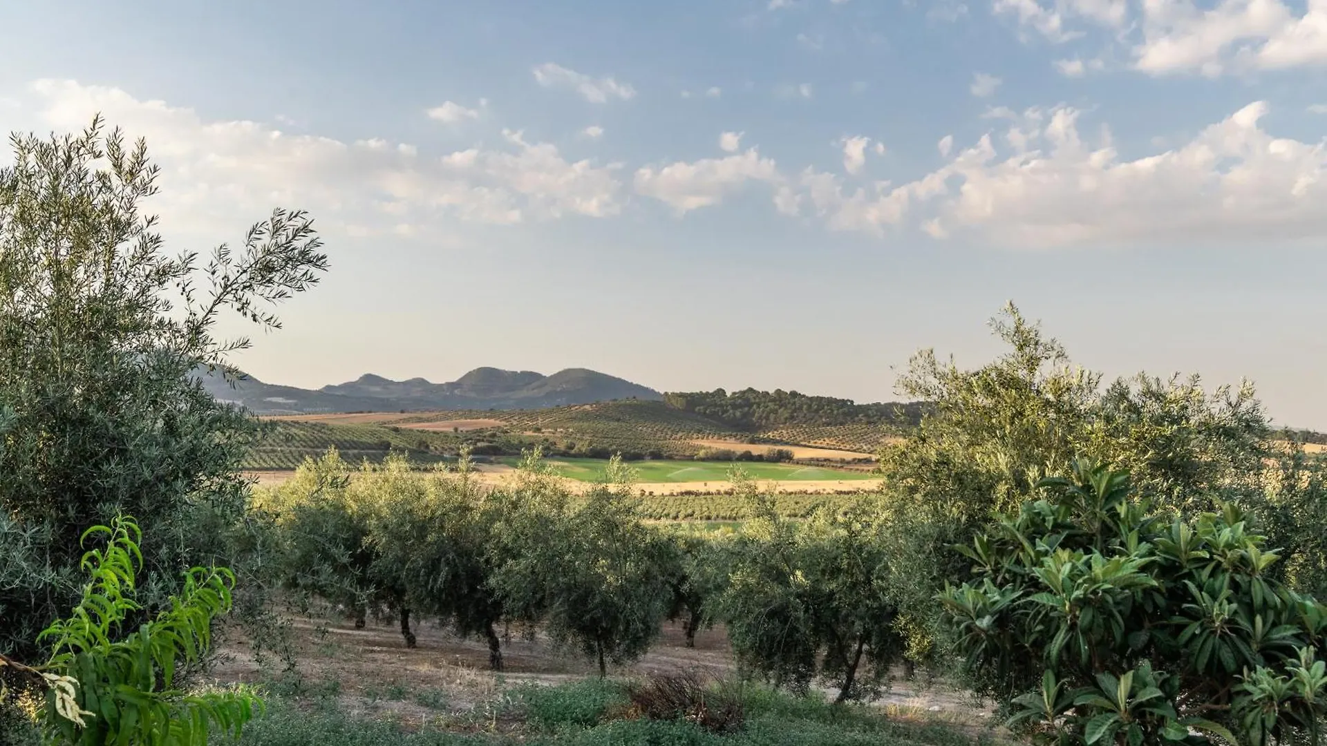 Casa Rural La Loma Granada Country house